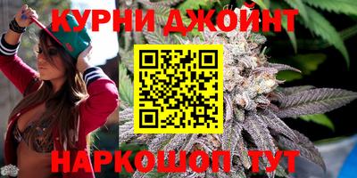 мяу мяу мука Нарткала