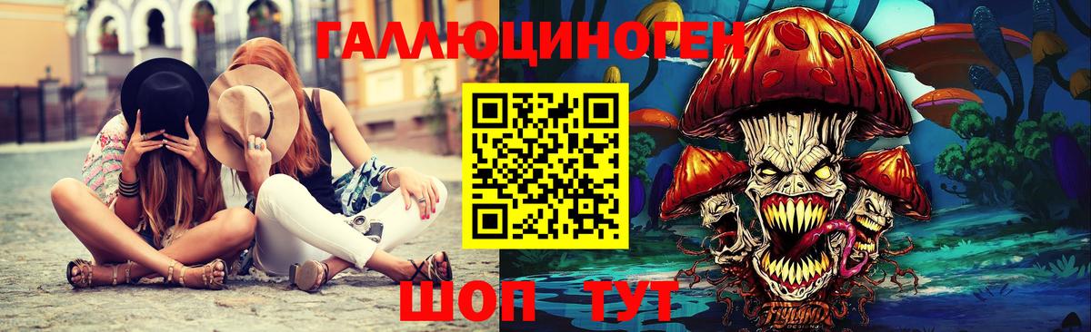 Галлюциногенные грибы Psilocybe Югорск